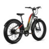 aventure-step-through-electric-bike-gallery-7