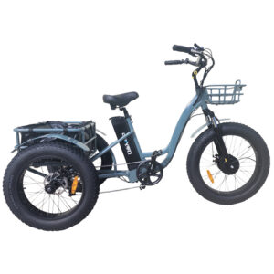 Driven Trikester Fat Tire Step Through